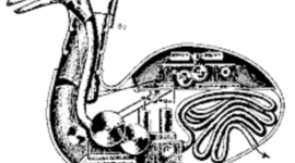 Timeline: los automatas
