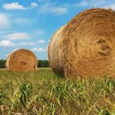Timeline: Farm Bills