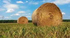 Timeline: Farm Bills