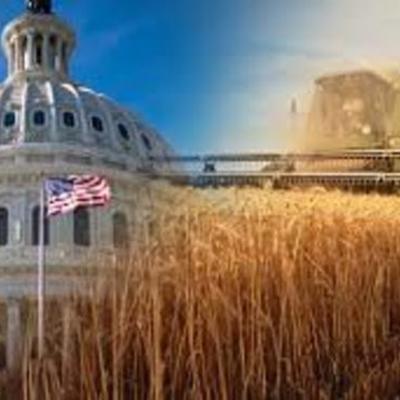 Timeline: Farm Bill Timeline