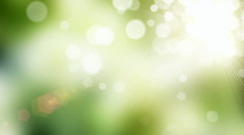 Timeline: My Life Map