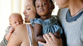 Timeline: Organizaciones nacionales e internacionales "Adopción"