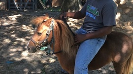 Timeline: taxes and responses