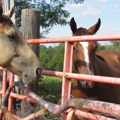 Timeline: History Class Timeline 2017-2018