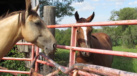 Timeline: History Class Timeline 2017-2018