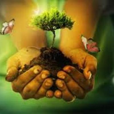 Timeline: MI LINEA DEL CORAZON