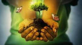 Timeline: MI LINEA DEL CORAZON