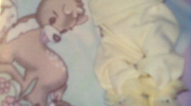 Timeline: mi historia