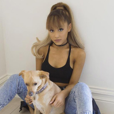 Timeline: Ariana Grande "Eneritz and Salma"