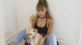 Timeline: Ariana Grande "Eneritz and Salma"