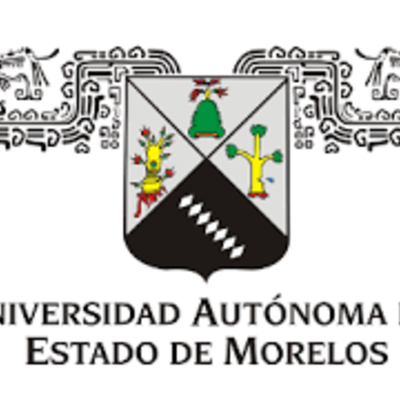 Timeline: Actividad 19. Línea de tiempo: Avance de actividades