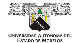 Timeline: Actividad 19. Línea de tiempo: Avance de actividades