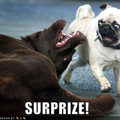 Timeline: Grace and nafisas  awesome race to the south pole