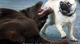 Timeline: Grace and nafisas  awesome race to the south pole