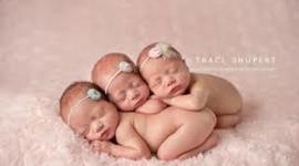 Timeline: Wooge, Developmental Timeline