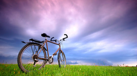 Timeline: Linea de Tiempo Bicicletas