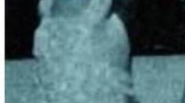 Timeline: Juan Gabriel