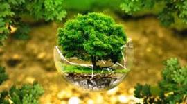 Timeline: naturaleza - medio ambiente( a mediados del siglo xx  surge  la preocupación de conservar especies)