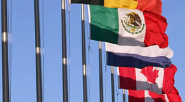 Timeline: tipos de estado