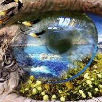 Timeline: HISTORIA DE LAS CIENCIAS NATURALES Y AUTORES RELEVANTES