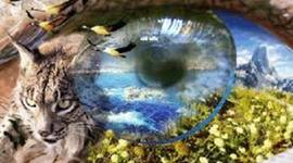 Timeline: HISTORIA DE LAS CIENCIAS NATURALES Y AUTORES RELEVANTES