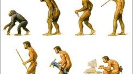 Timeline: Tecnologia e Historia