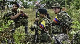 Timeline: Violencia y procesos de paz segunda mitad siglo XX principios del siglo XXI