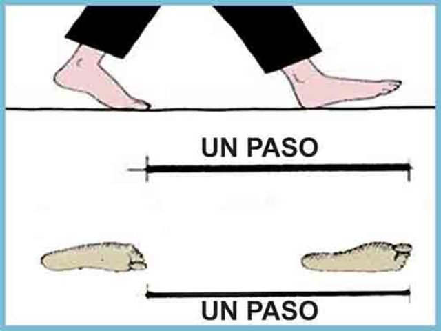 Cuanto Es 6 Codos Y Un Palmo