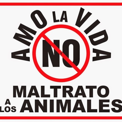 Timeline: MALTRATO ANIMAL