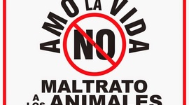 Timeline: MALTRATO ANIMAL