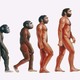 Evolucion del hombre 1