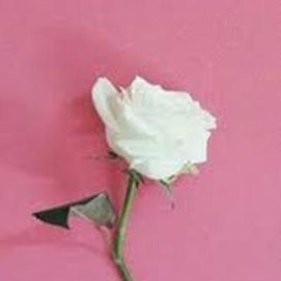 Timeline: праздники