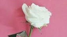 Timeline: праздники