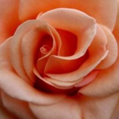 Timeline: Stages And Ages Of Life!!!