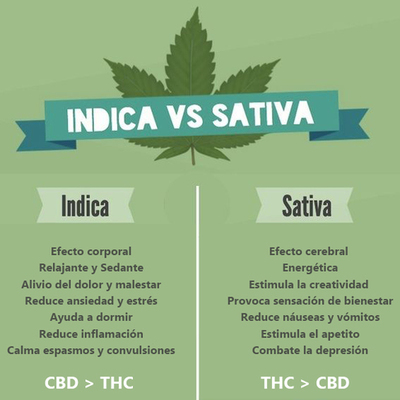 Timeline: El CANNABIS Y SUS ACONTECIMIENTOS
