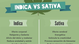 Timeline: El CANNABIS Y SUS ACONTECIMIENTOS