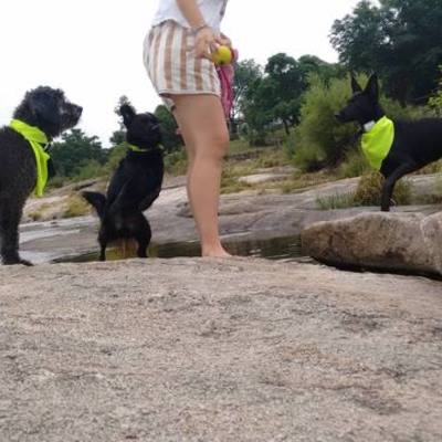 Timeline: Mis bebés