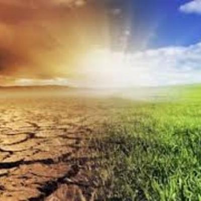 Timeline: MEDIO AMBIENTE