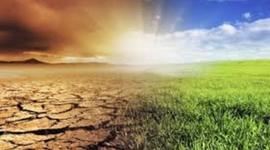 Timeline: MEDIO AMBIENTE