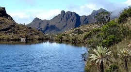 Timeline: LINEA DE TIEMPO PÁRAMO DE GUERRERO RESERVA NATURAL