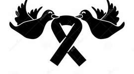 Timeline: líderes sociales asesinados