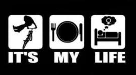 Timeline: MY EXPERIENCES IN MY LIFE