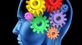 Timeline: EVOLUCION DE GESTION DEL CONOCIMIENTO