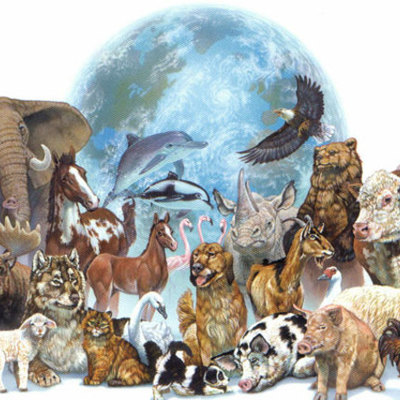 Timeline: Especies extintas