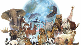 Timeline: Especies extintas