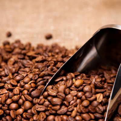 Timeline: El Descubrimiento de America