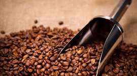 Timeline: El Descubrimiento de America