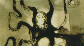 Timeline: Taller de análisis de textos