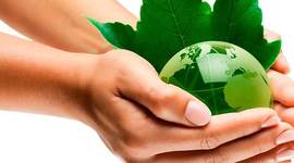 Timeline: Los sucesos del medio ambiente mas trascendentales