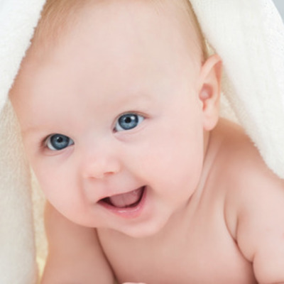 Timeline: Etapas de gestación